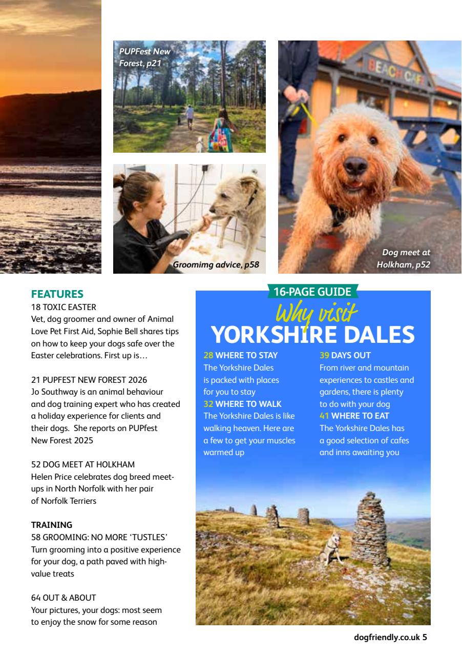 Dog Friendly Preview Pages