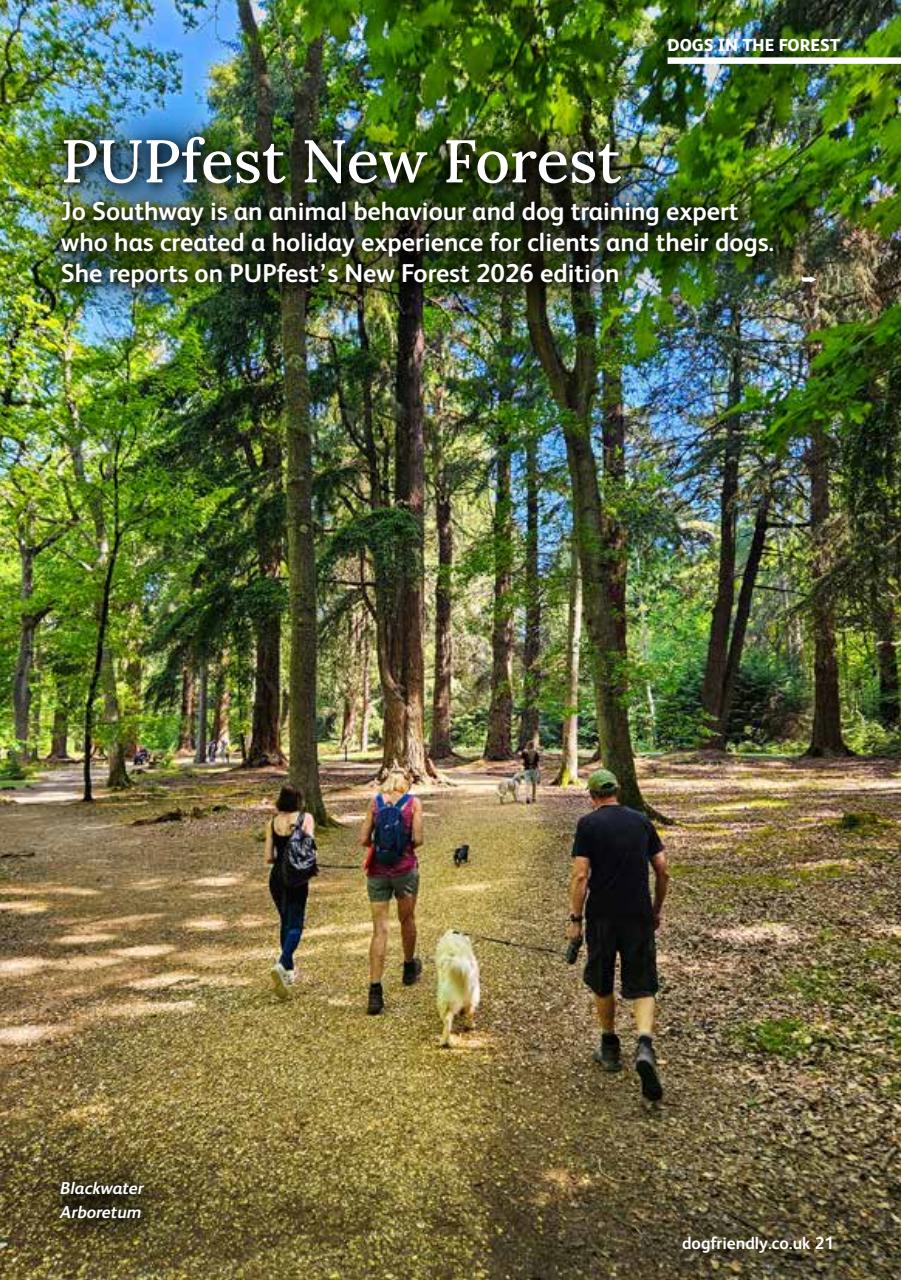 Dog Friendly Preview Pages