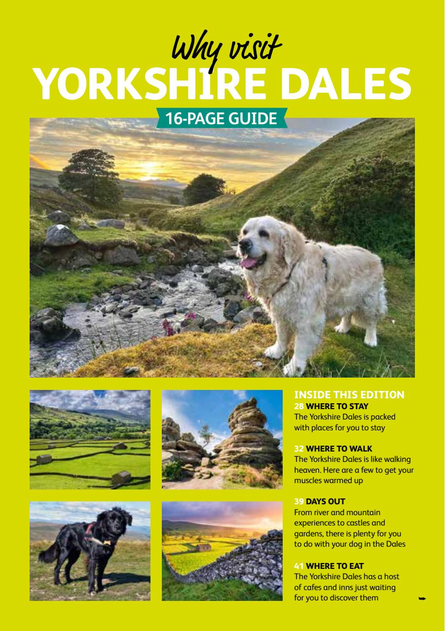 Dog Friendly Preview Pages