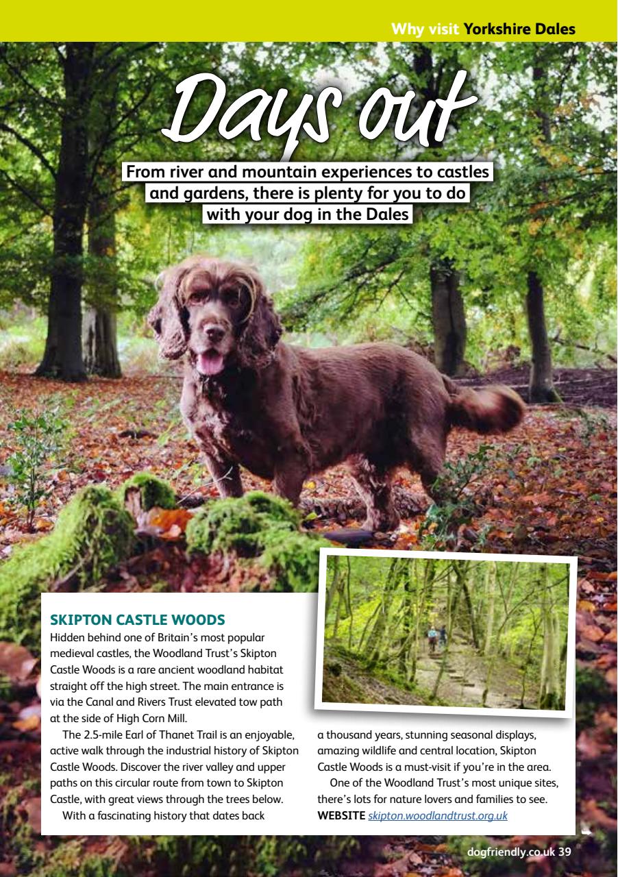 Dog Friendly Preview Pages