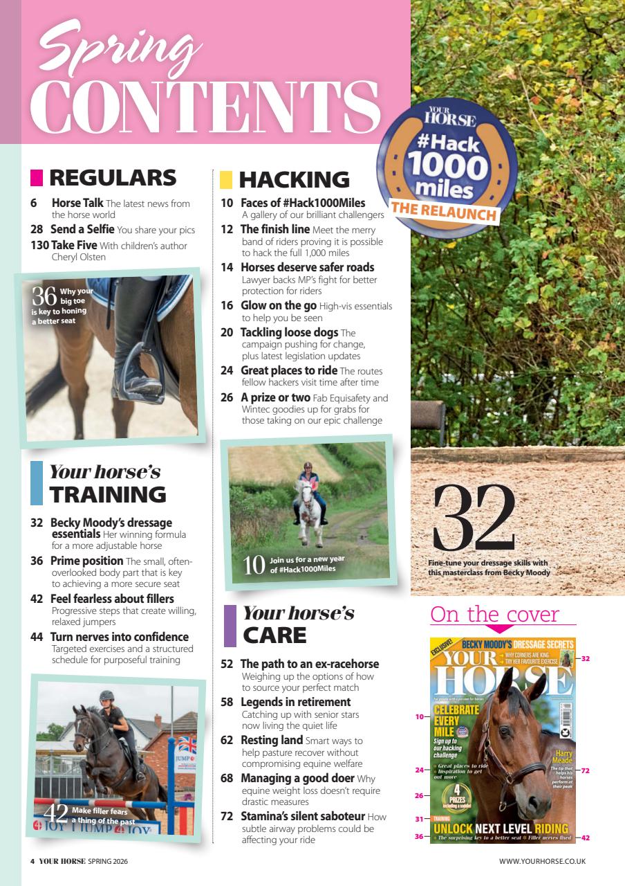 Your Horse Preview Pages