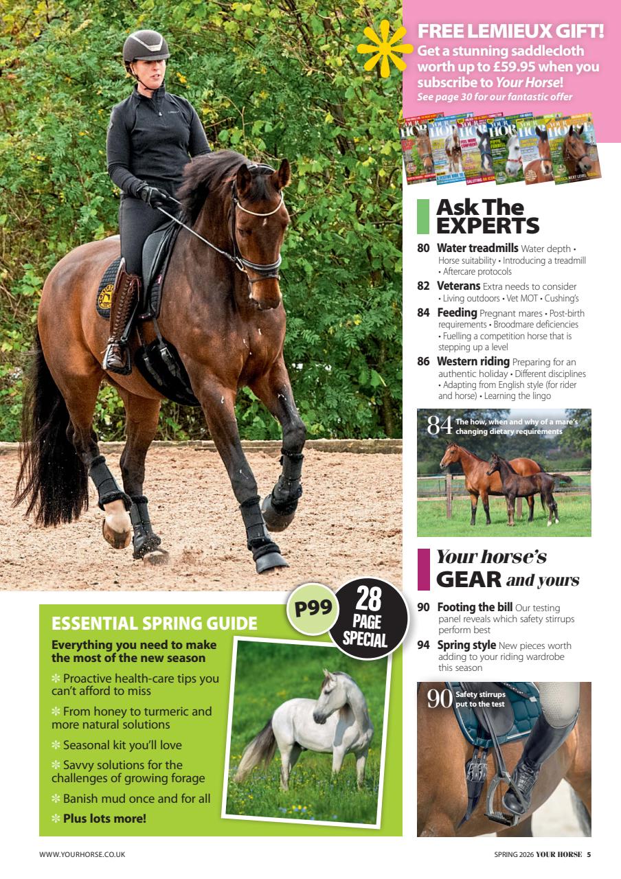 Your Horse Preview Pages