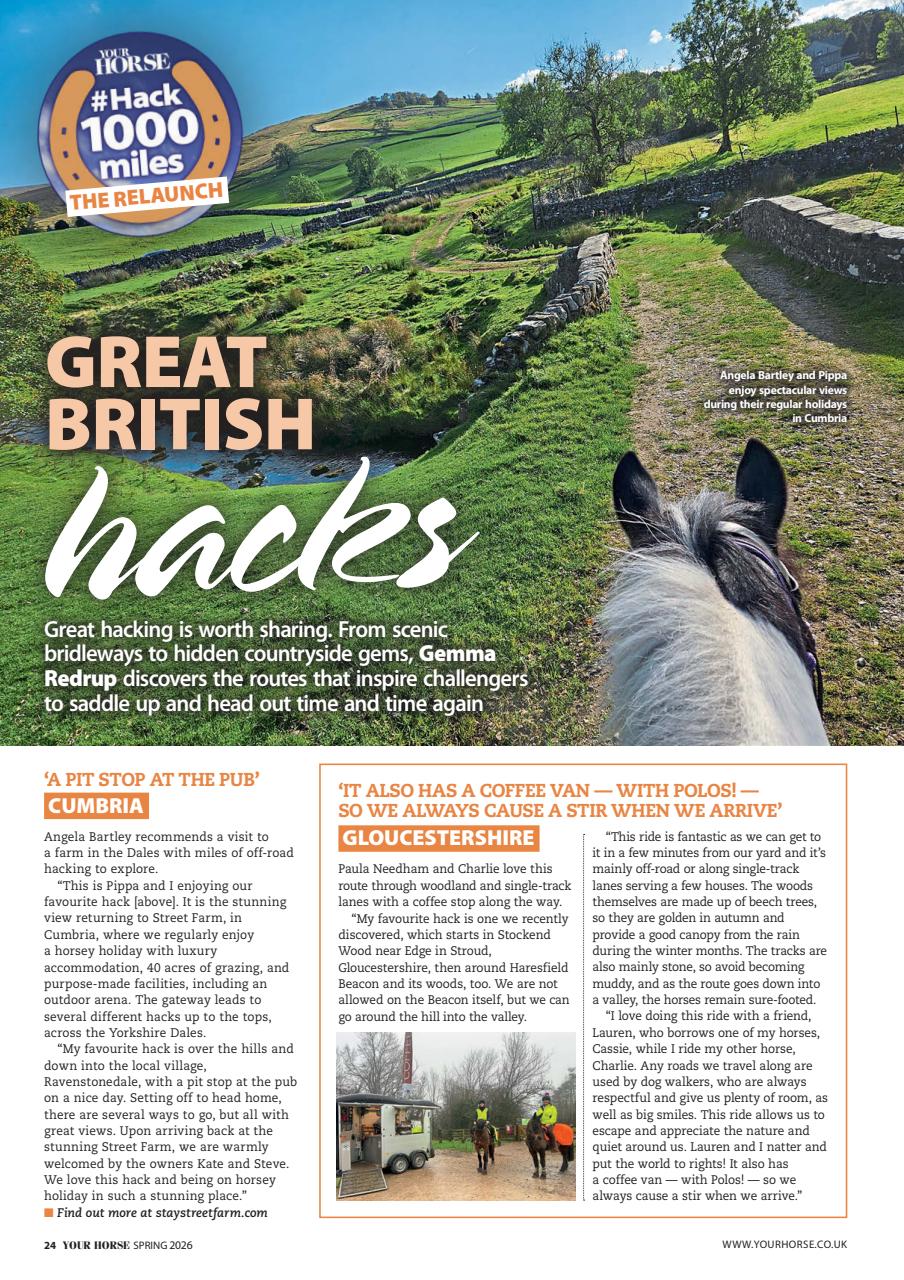 Your Horse Preview Pages