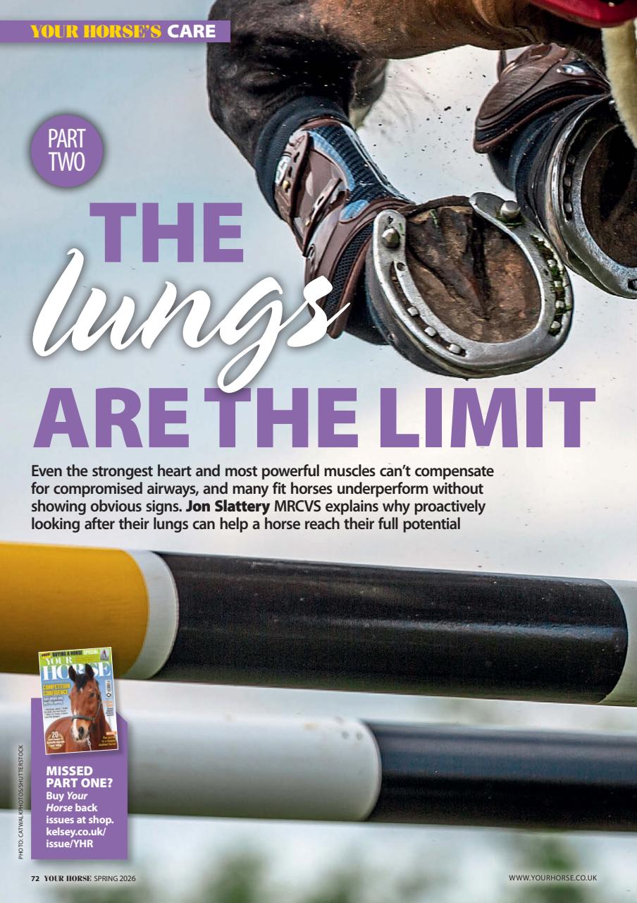 Your Horse Preview Pages