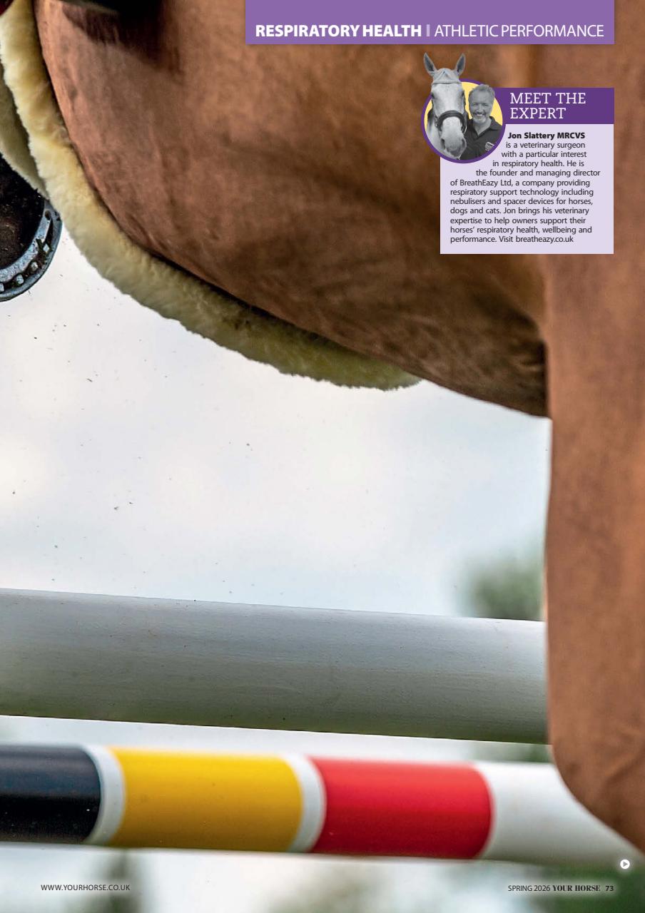 Your Horse Preview Pages