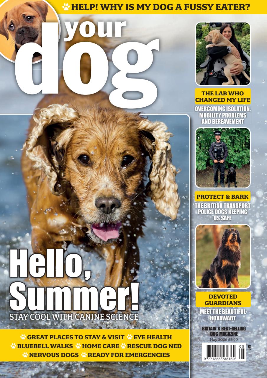 Your Dog Preview Pages
