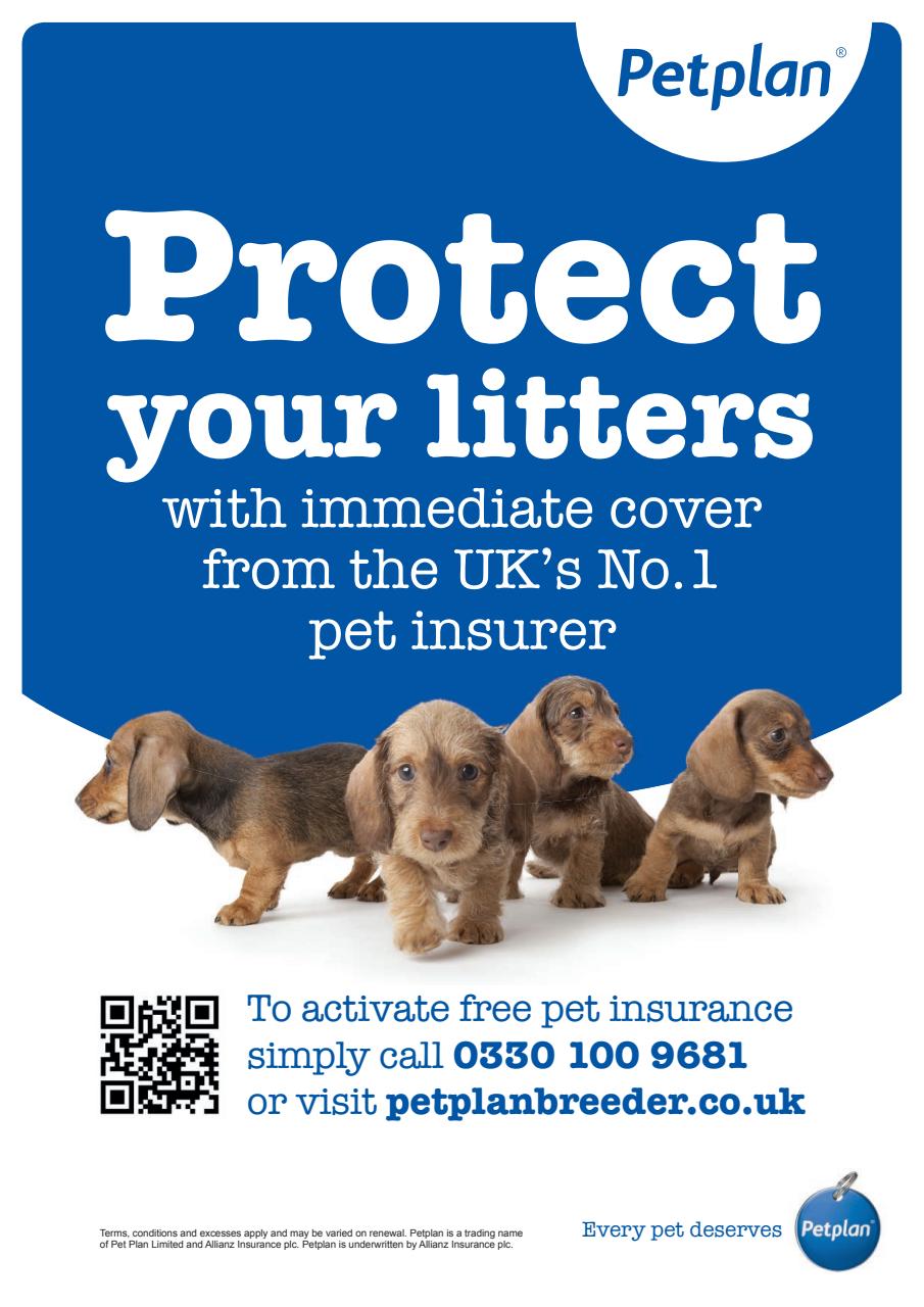 Your Dog Preview Pages