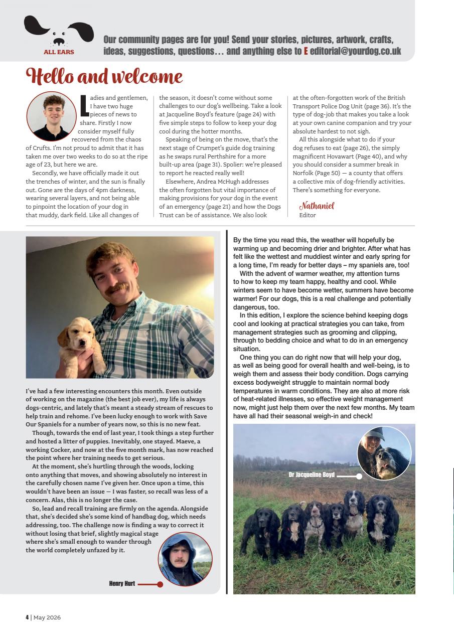 Your Dog Preview Pages