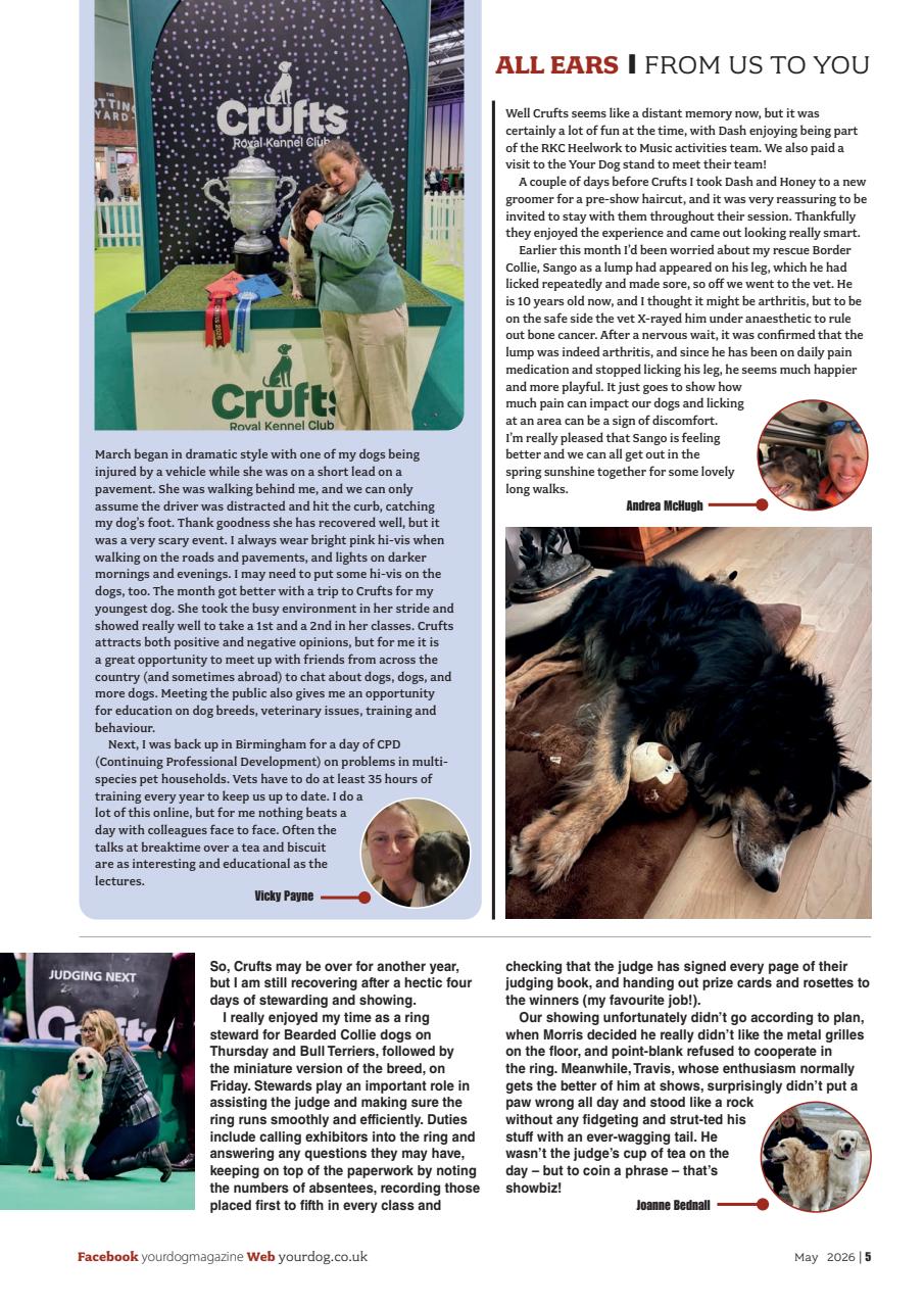 Your Dog Preview Pages