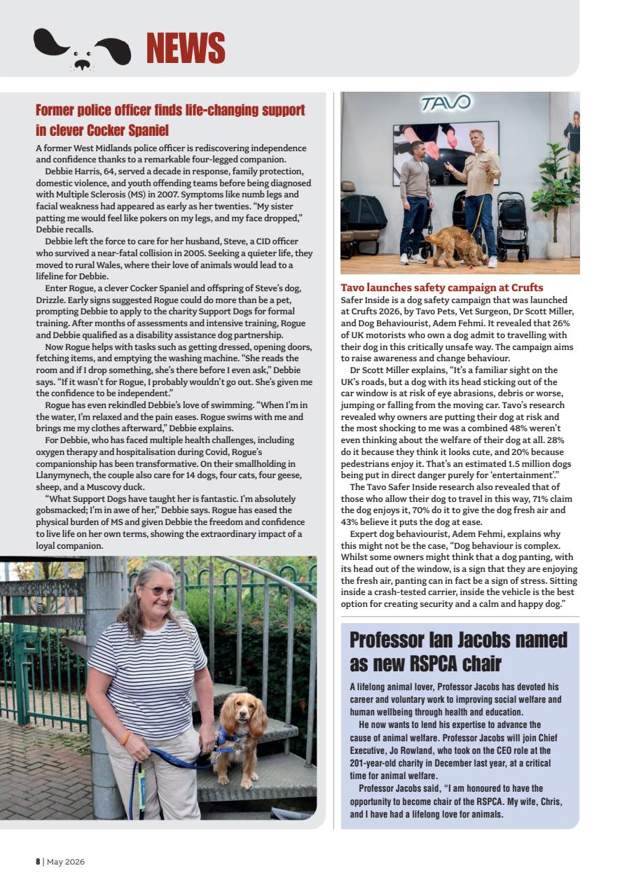 Your Dog Preview Pages