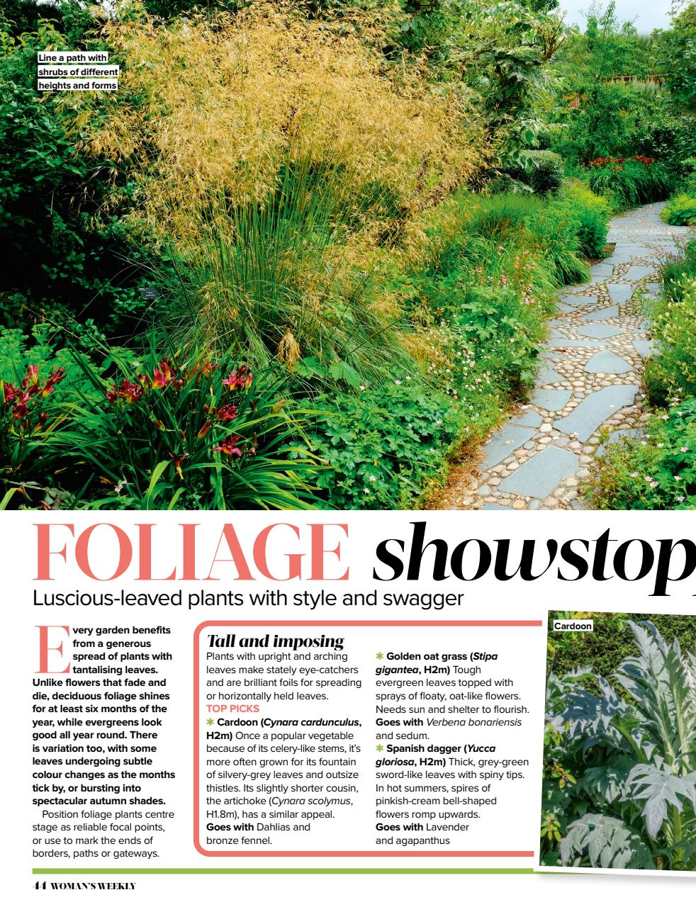 Woman's Weekly Preview Pages