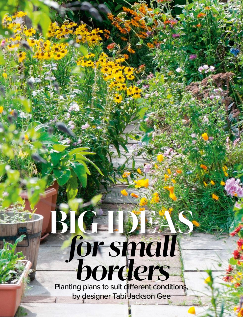 Woman's Weekly Preview Pages