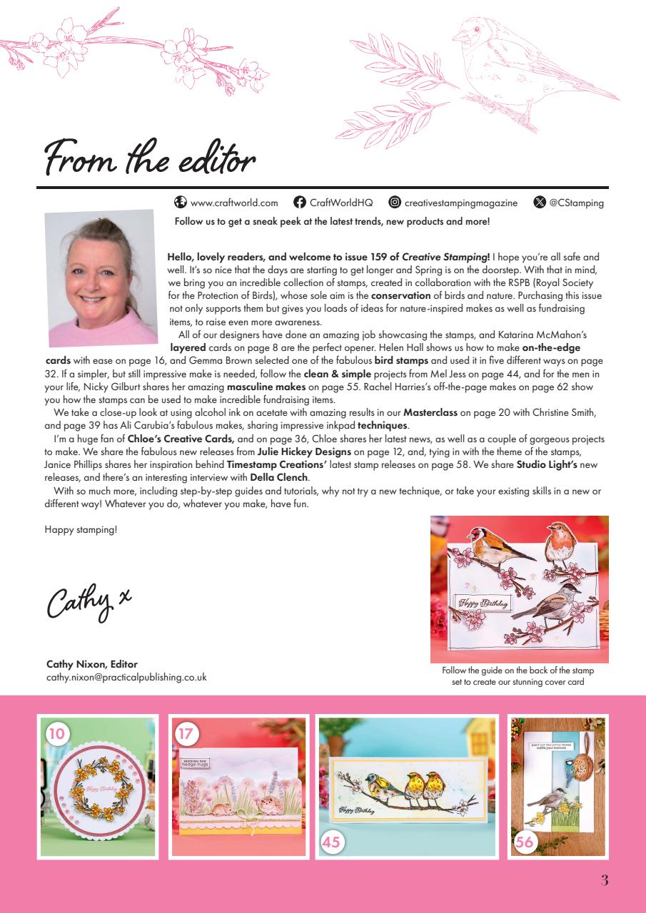 Creative Stamping Preview Pages