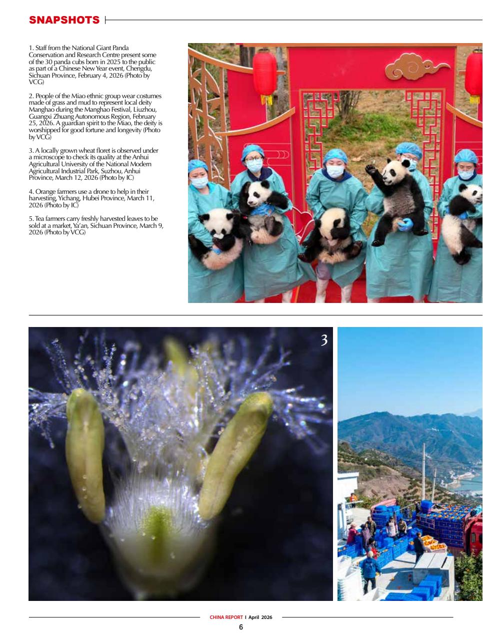 China Report Preview Pages