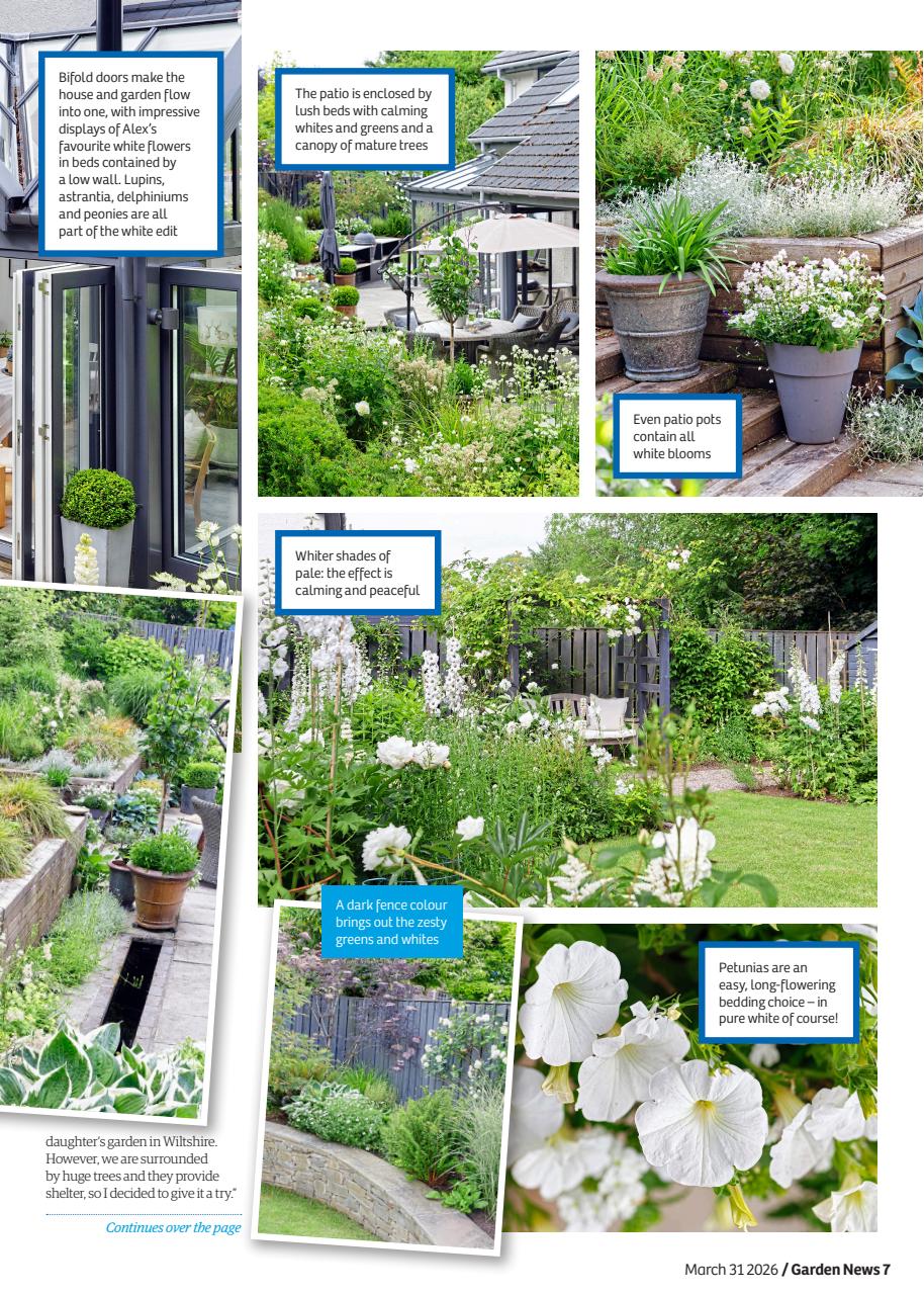 Garden News Preview Pages