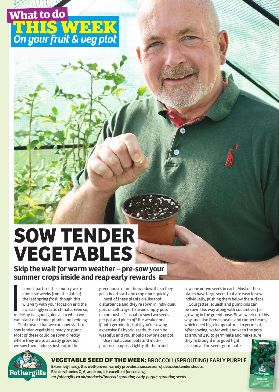 Garden News Preview Pages