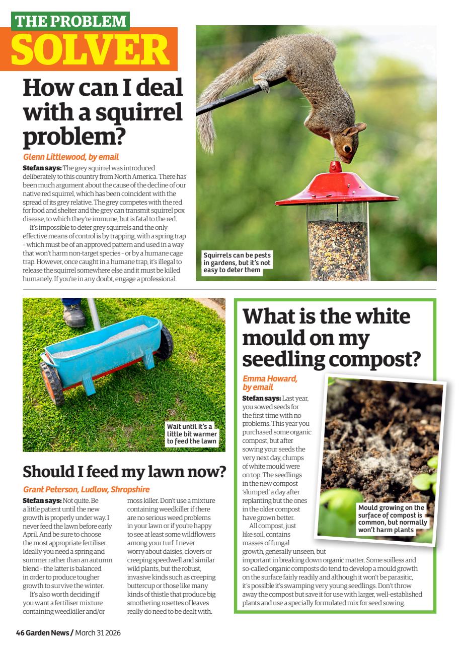 Garden News Preview Pages