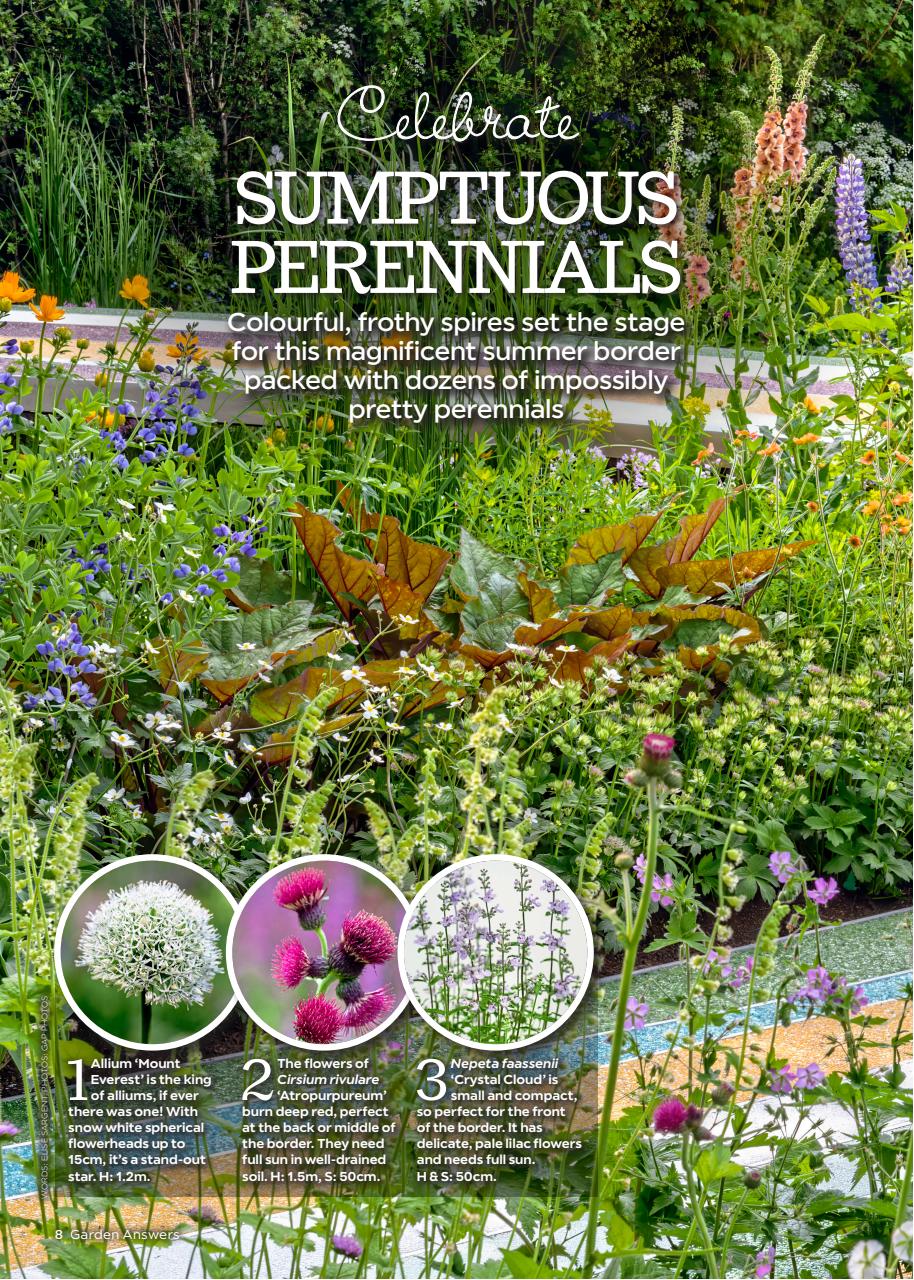 Garden Answers Preview Pages