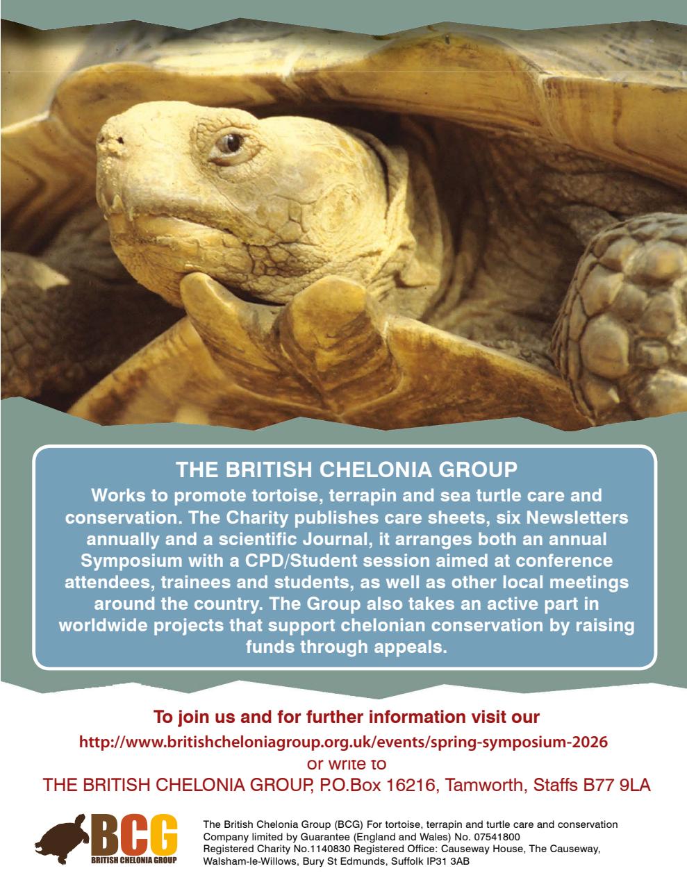 Practical Reptile Keeping Preview Pages