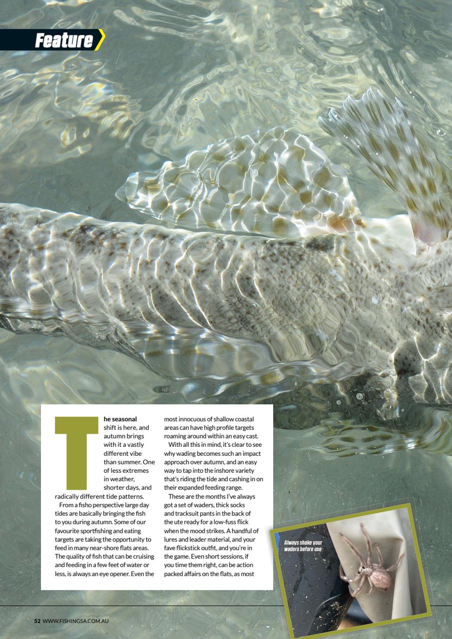 Fishing SA Preview Pages