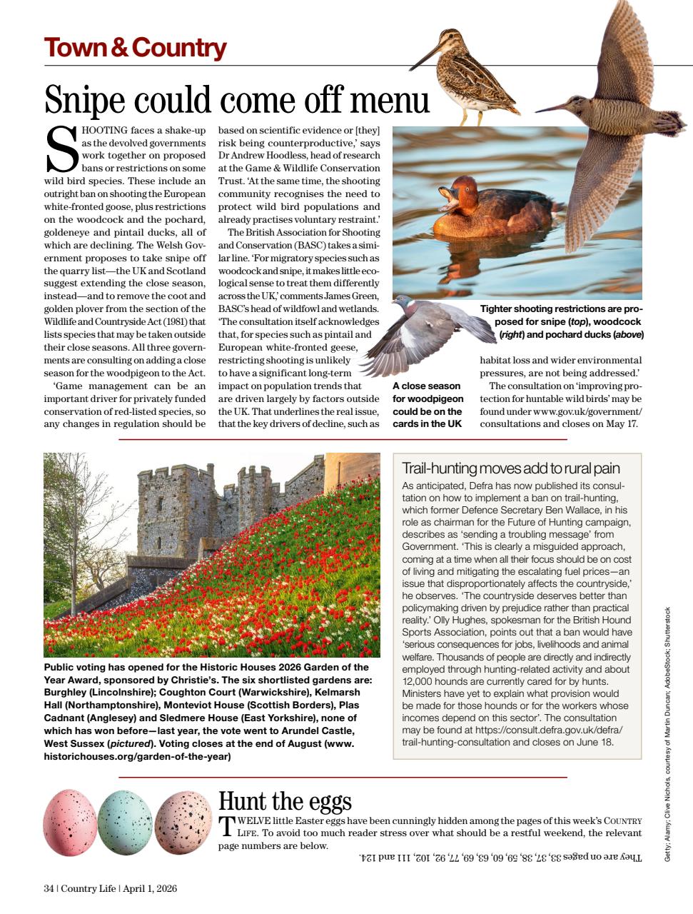 Country Life Preview Pages