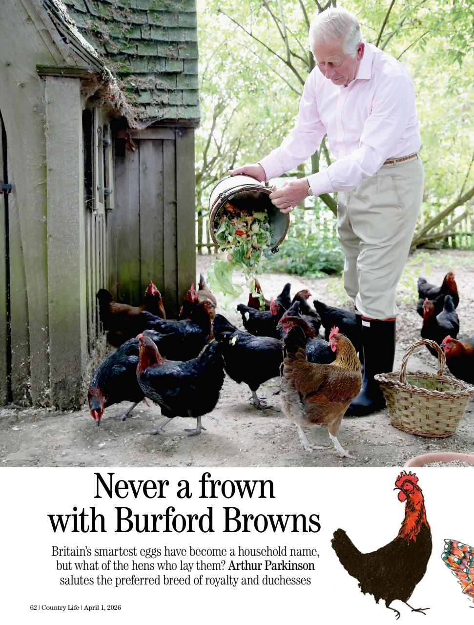 Country Life Preview Pages