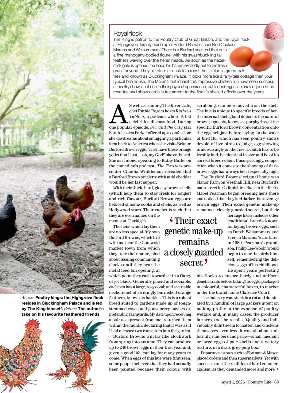 Country Life Preview Pages