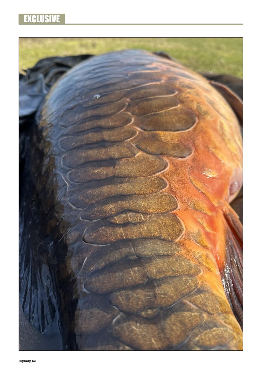 Big Carp Magazine Preview Pages