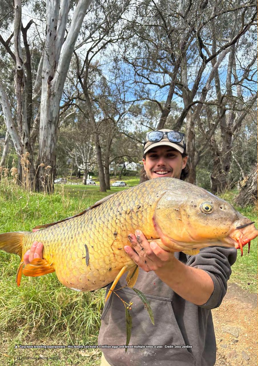 Freshwater Fishing Australia Preview Pages