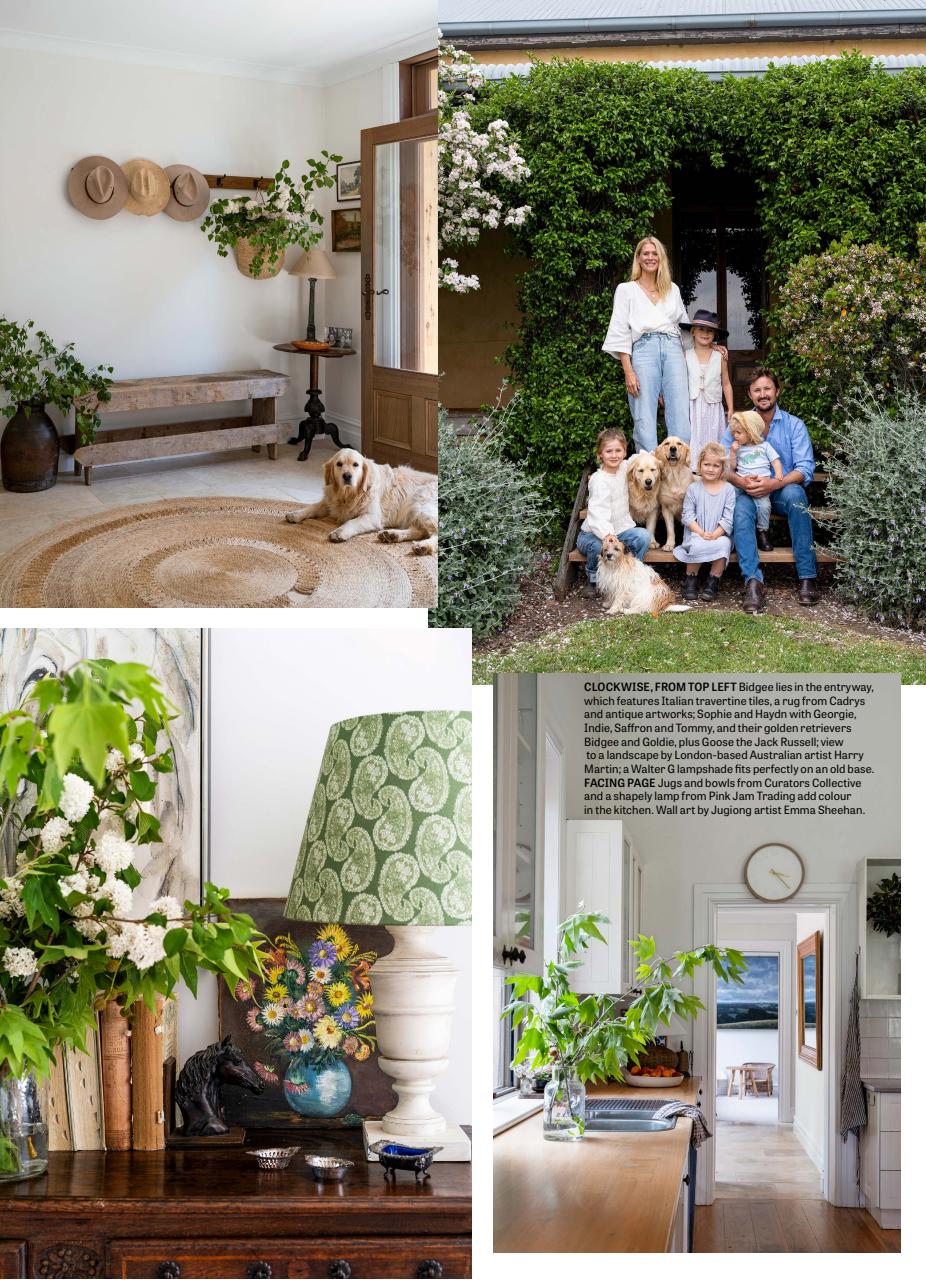 Country Style Preview Pages