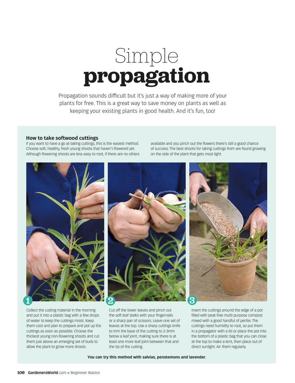 BBC Gardeners’ World Magazine Preview Pages