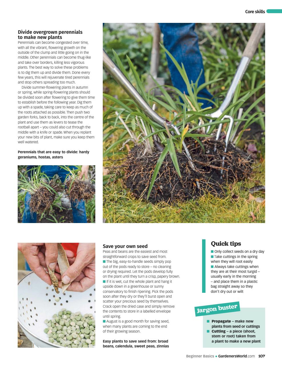 BBC Gardeners’ World Magazine Preview Pages