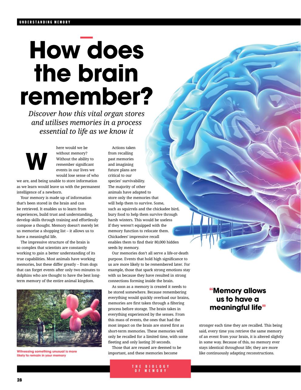 How It Works Bookazine Preview Pages