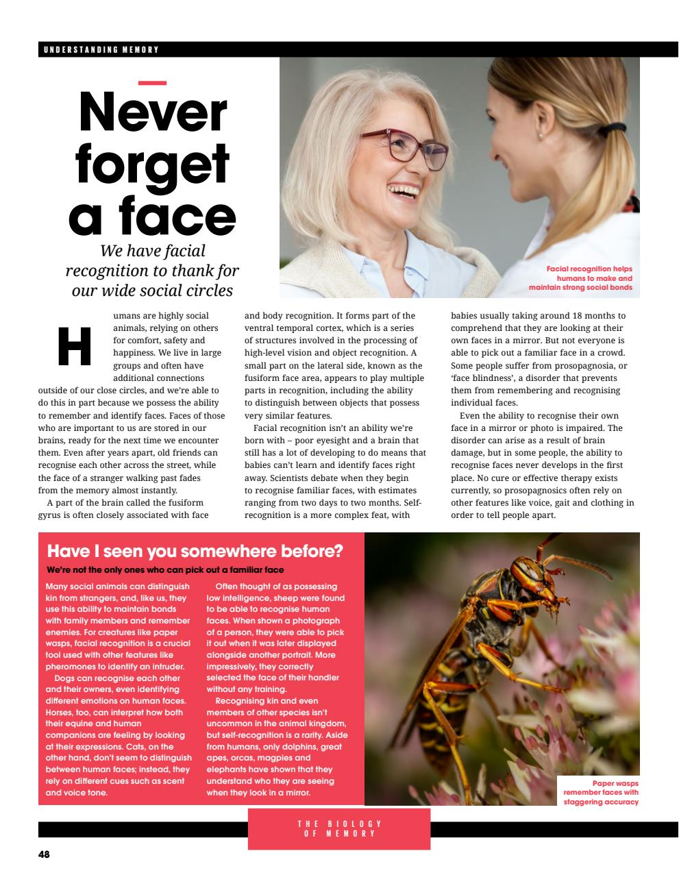 How It Works Bookazine Preview Pages