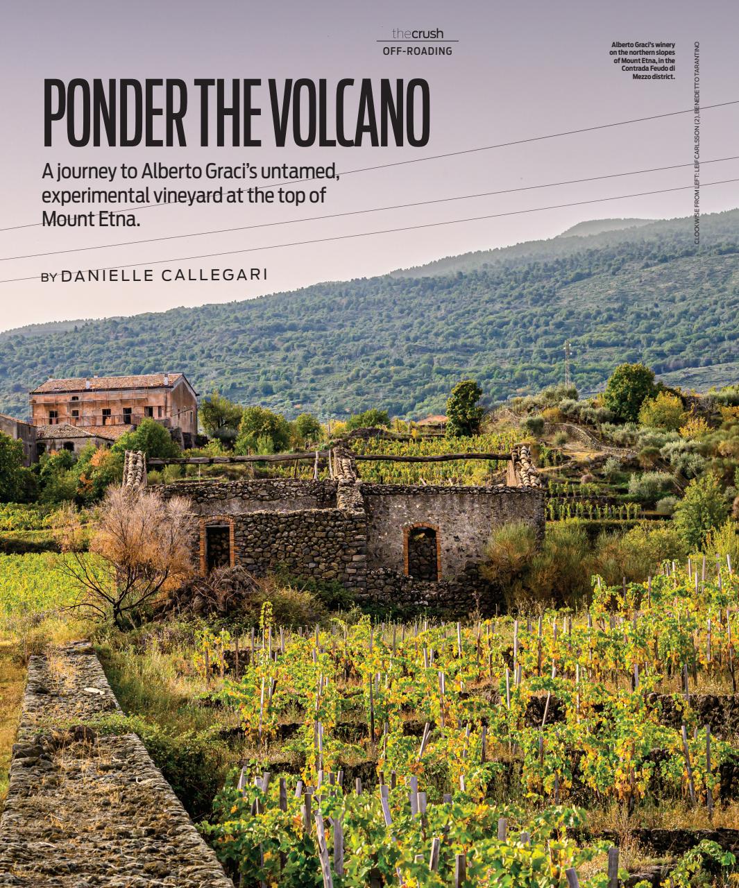 Wine Enthusiast Preview Pages