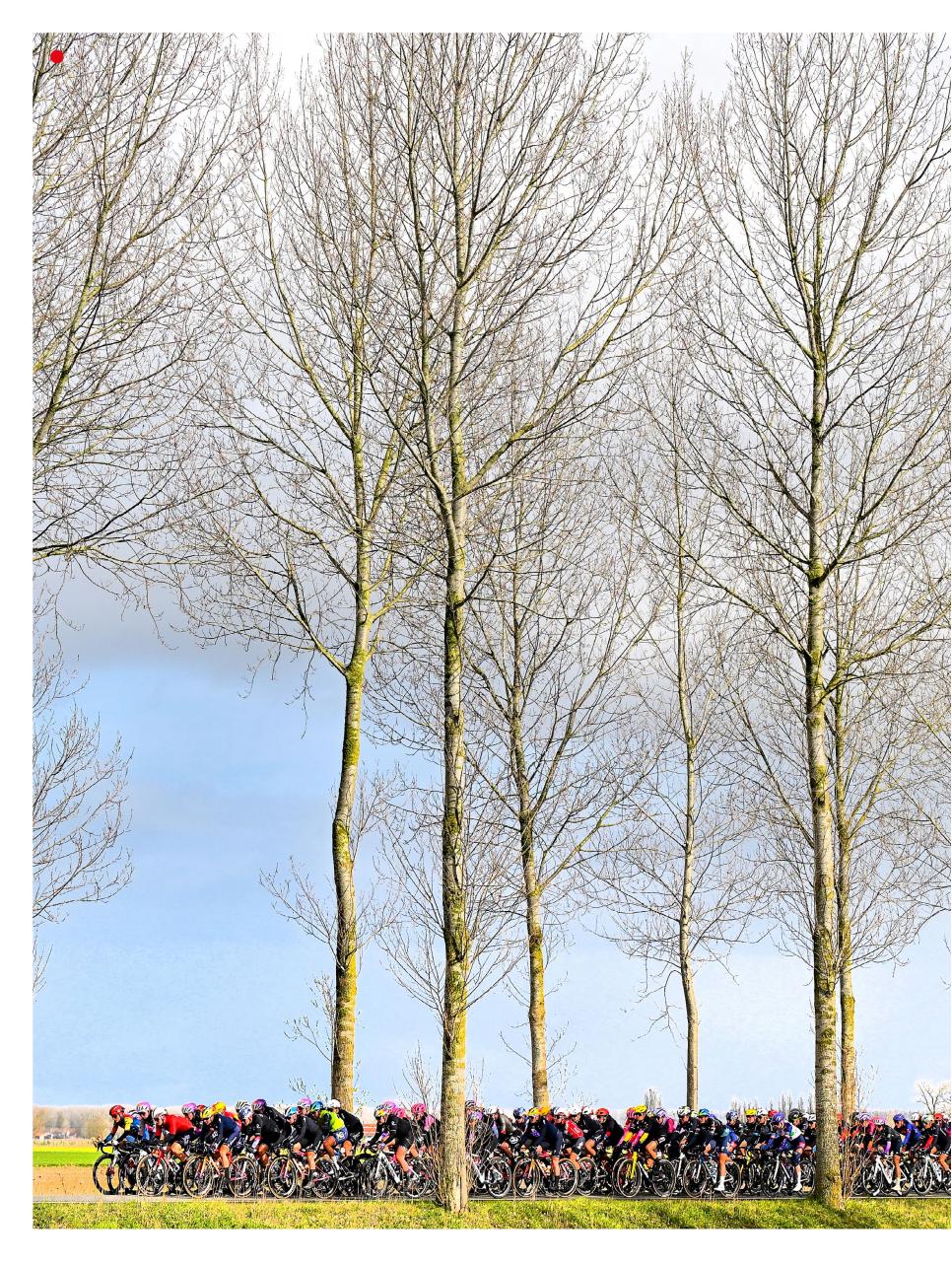 Cycling Weekly Preview Pages