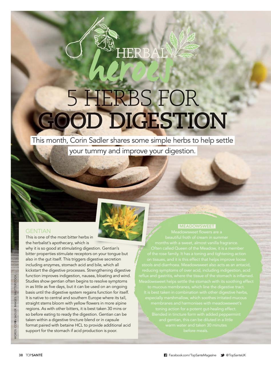 Top Sante Preview Pages