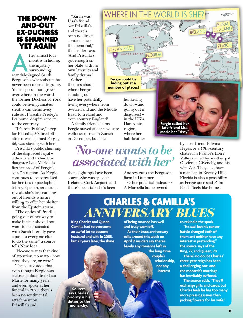 New Idea Preview Pages