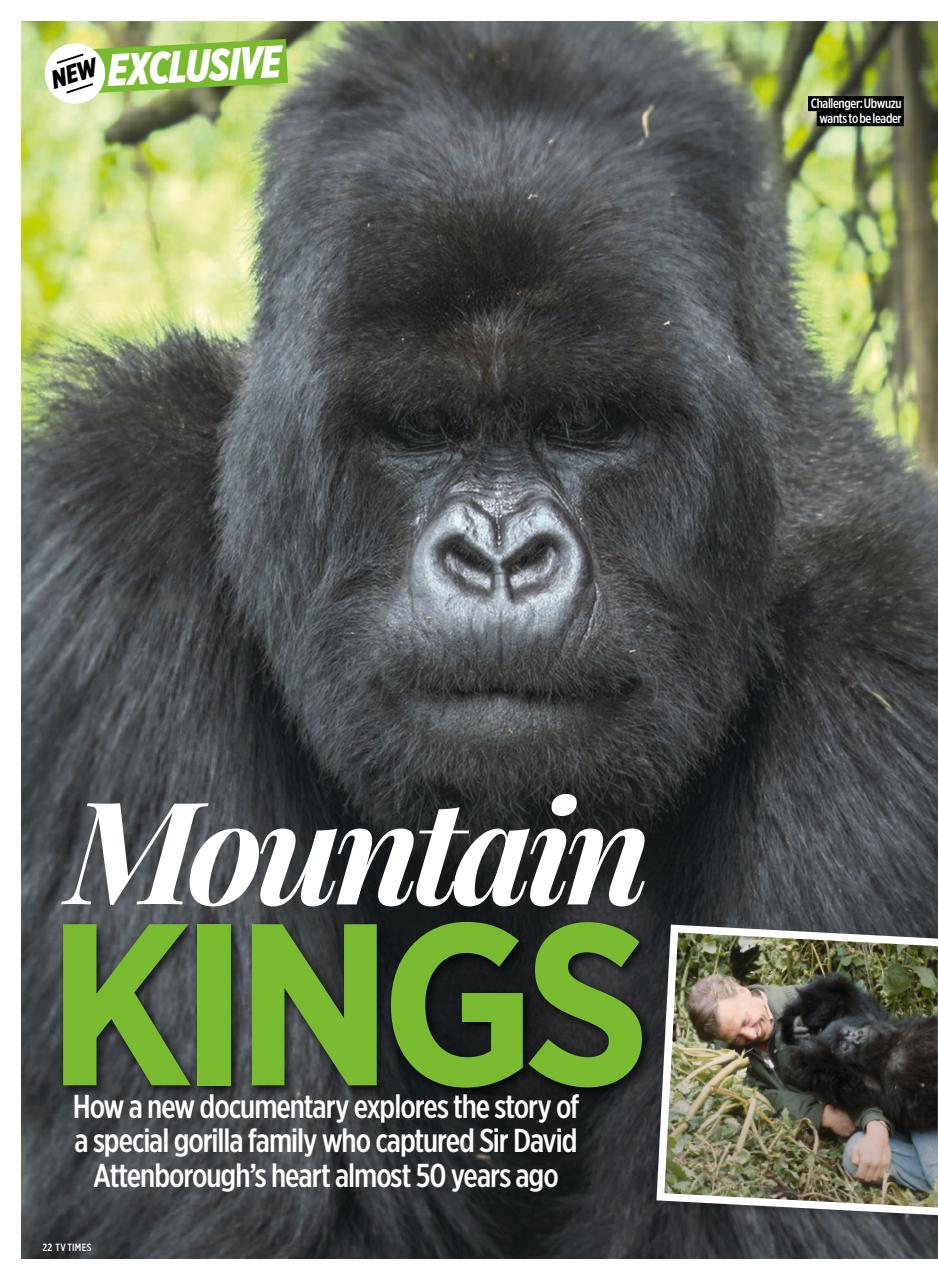 TV Times Preview Pages