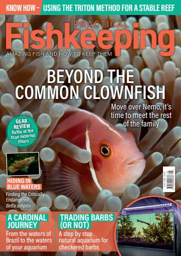 Practical Fishkeeping issue 