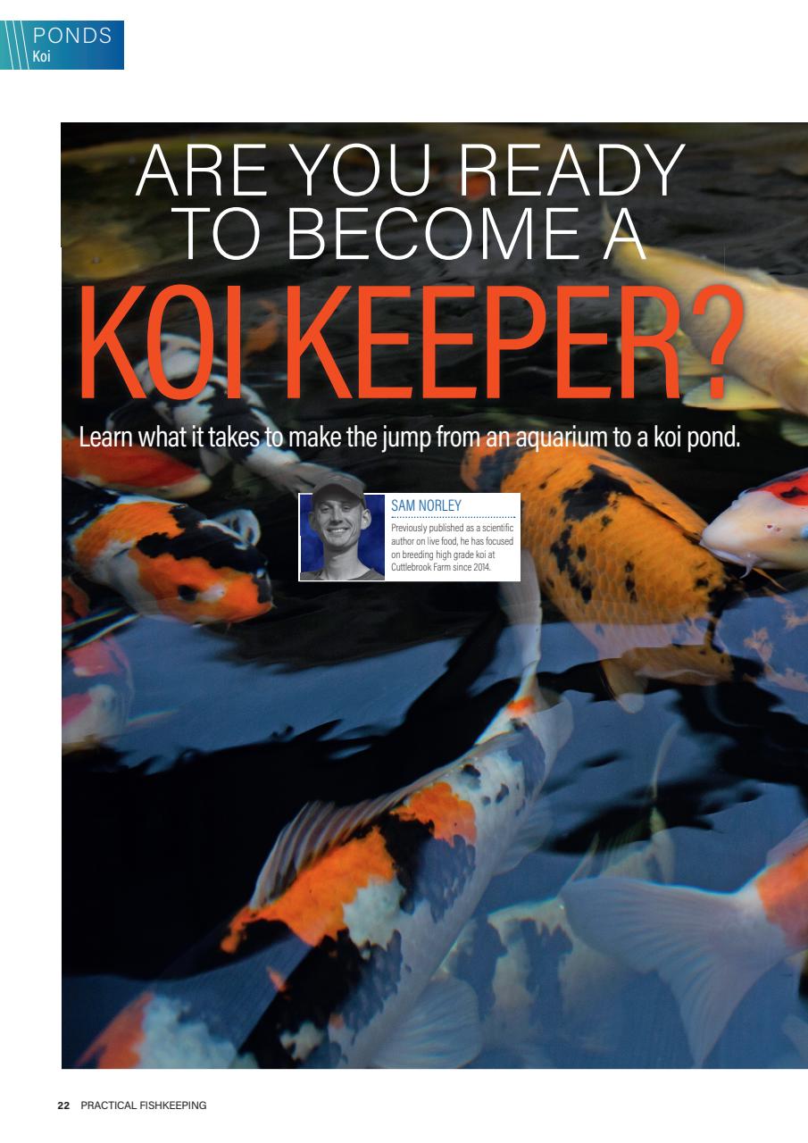 Practical Fishkeeping Preview Pages