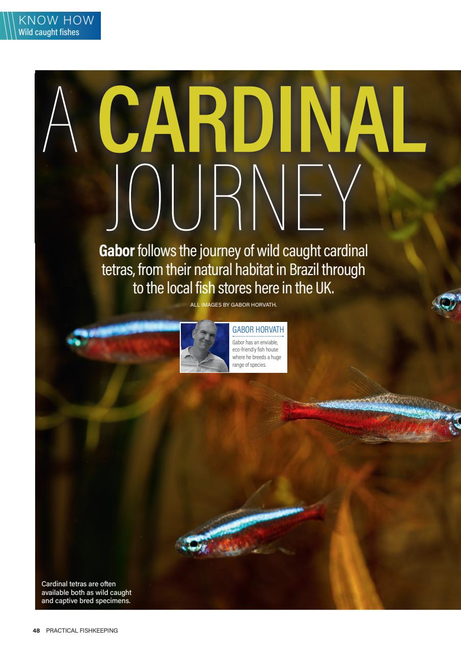 Practical Fishkeeping Preview Pages