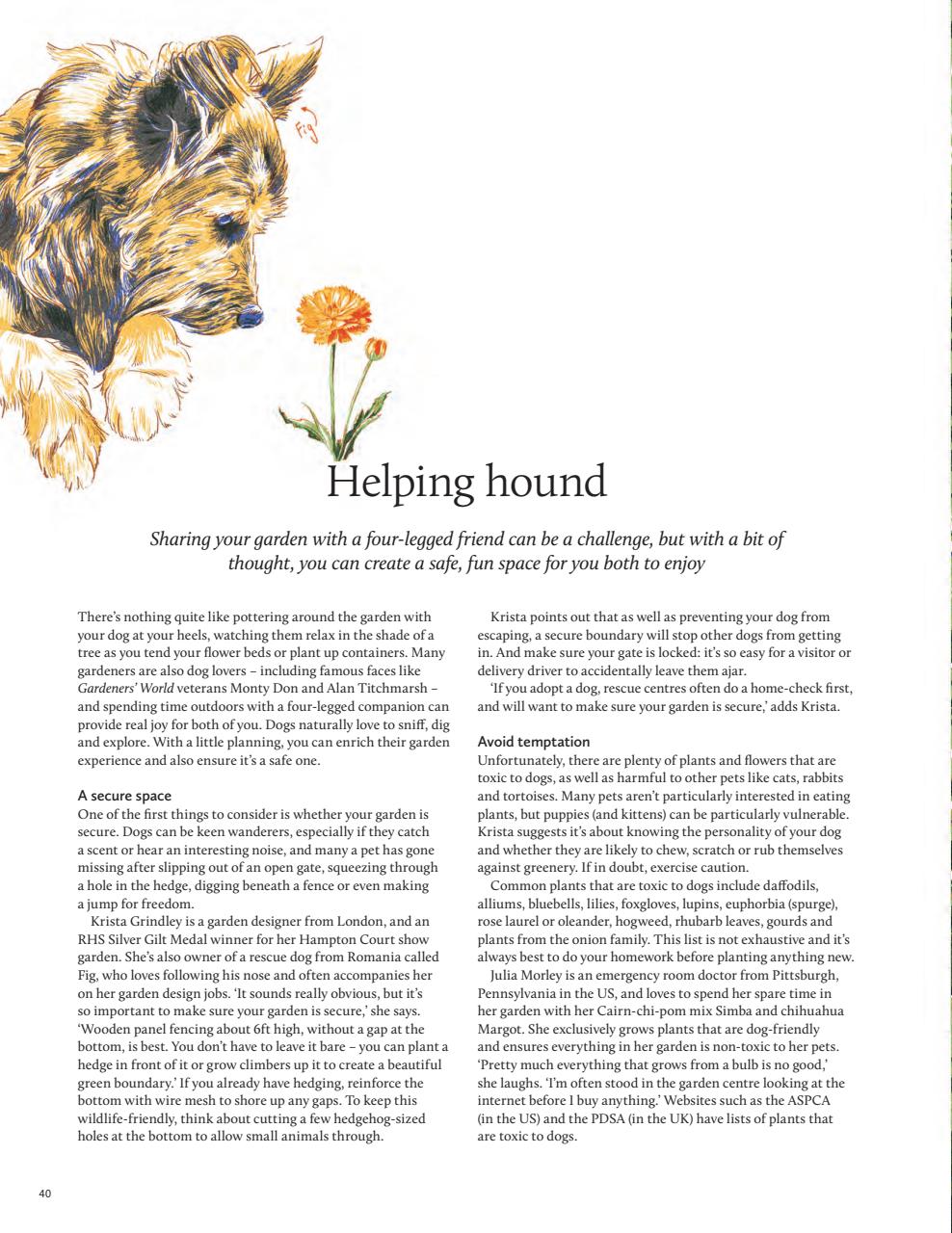 Breathe Preview Pages