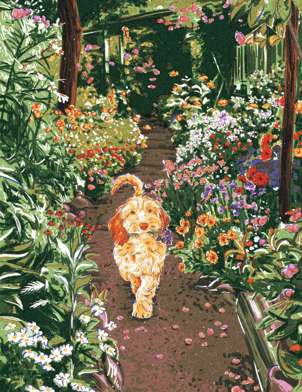 Breathe Preview Pages