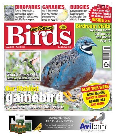 Cage & Aviary Birds issue 8th April 2026