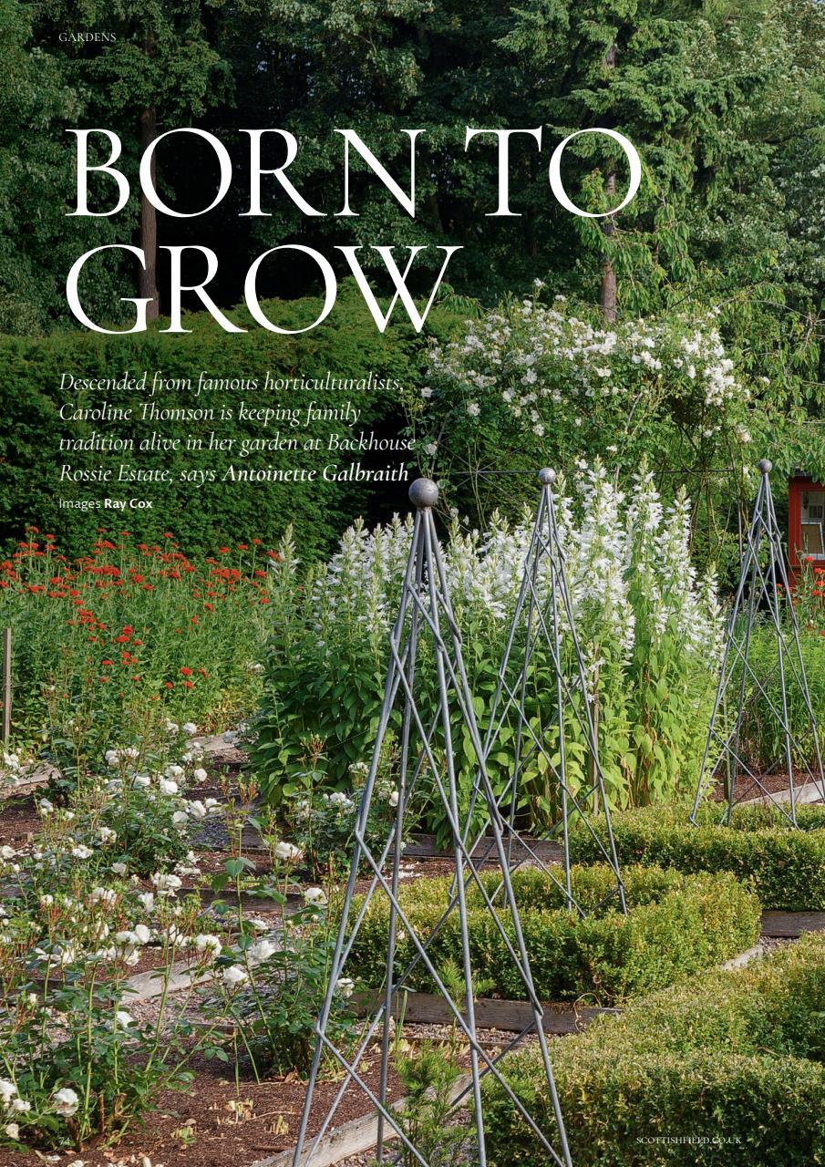 Scottish Field Preview Pages