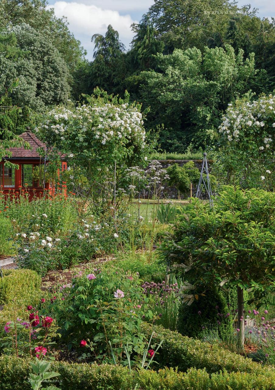 Scottish Field Preview Pages