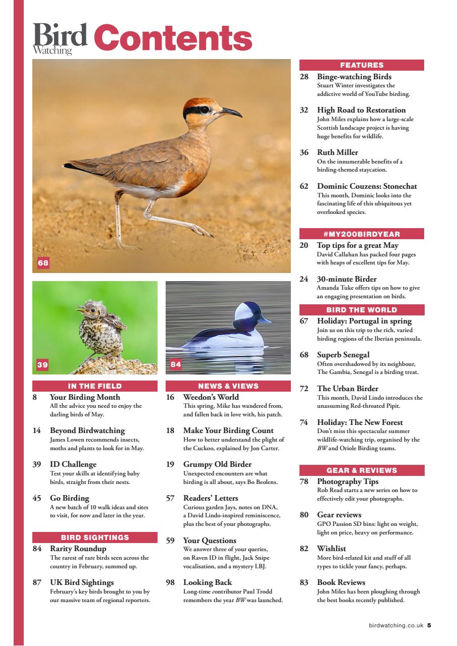 Bird Watching Preview Pages