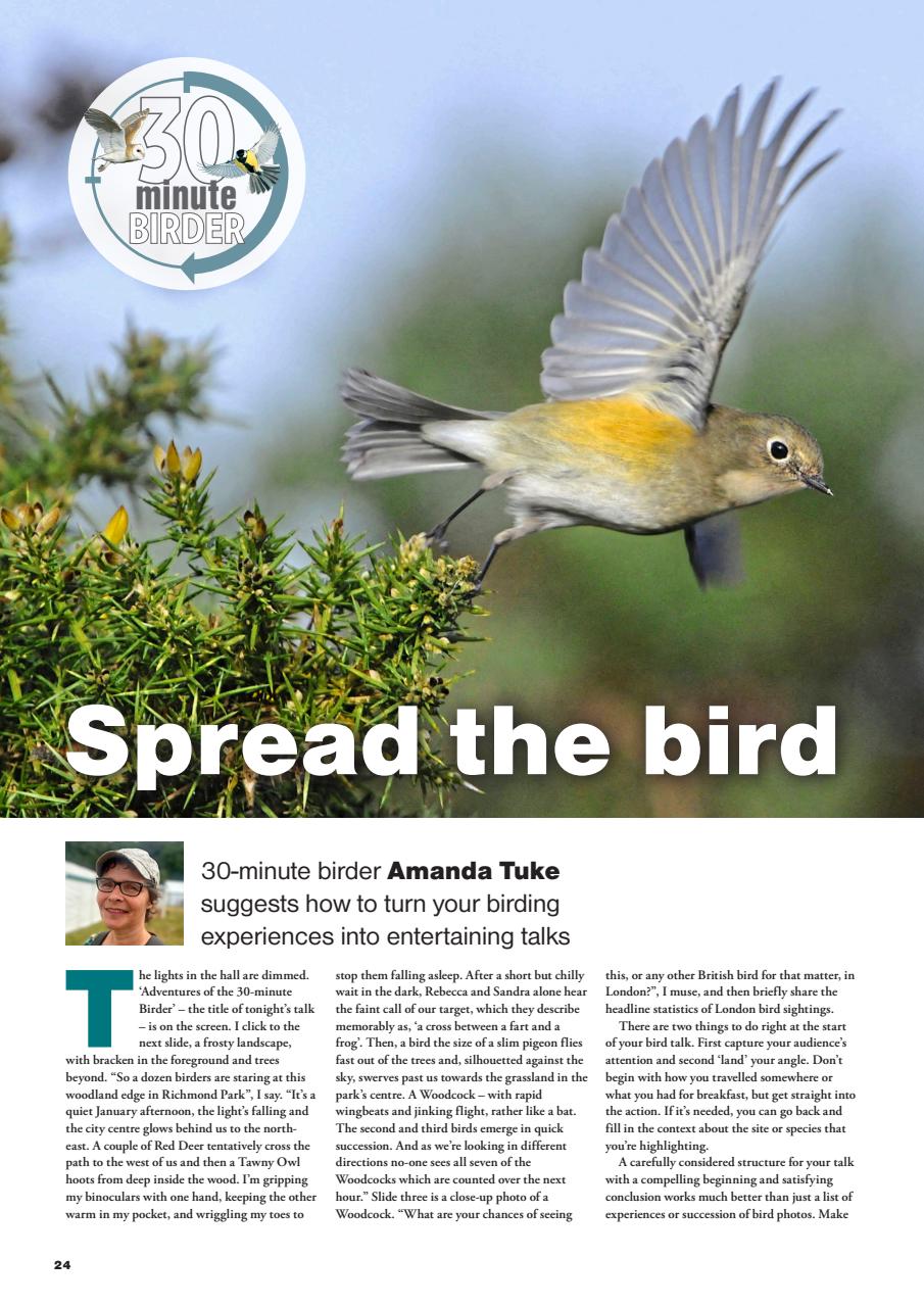 Bird Watching Preview Pages