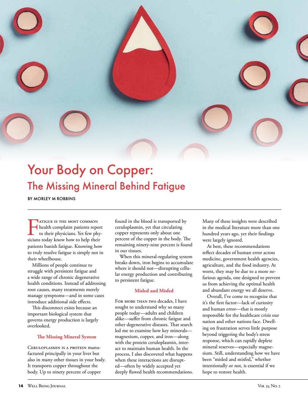 Well Being Journal Preview Pages